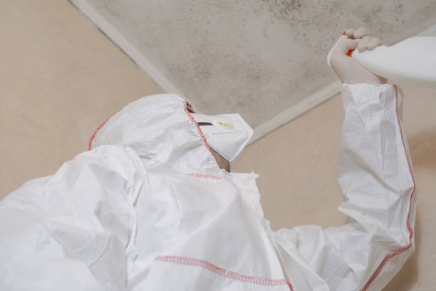 Best Commercial Mold Removal  in West Ocean City, MD