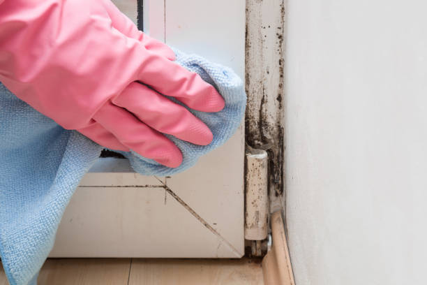 Best Crawl Space Mold Removal  in West Ocean City, MD
